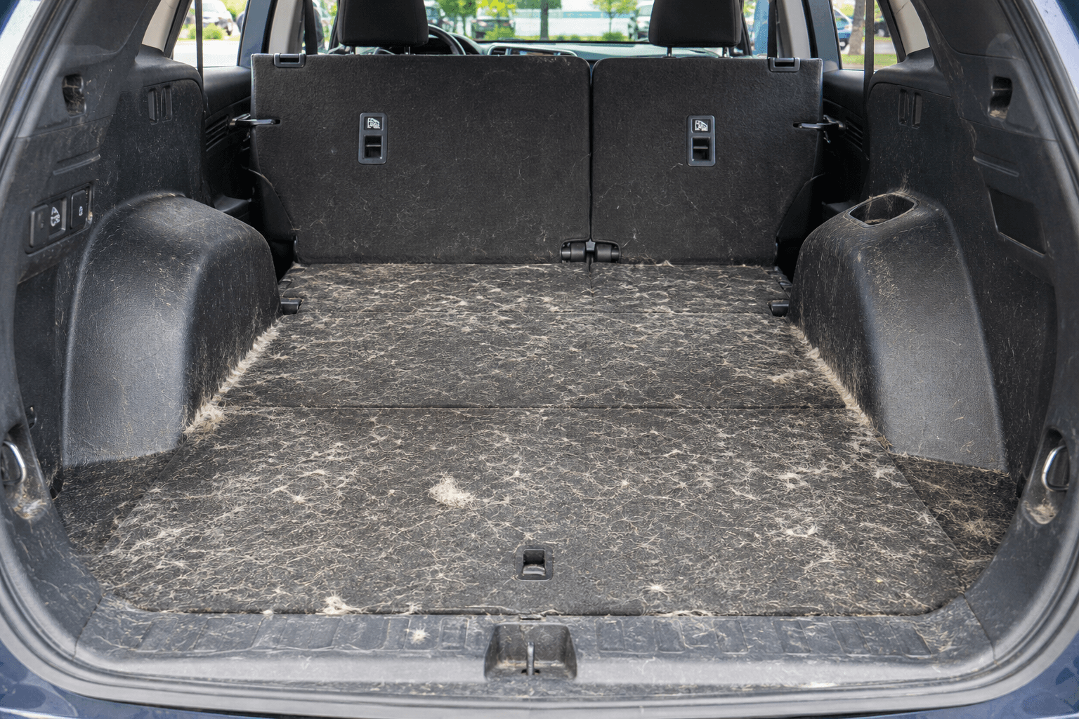 Before pet hair removal from SUV cargo area